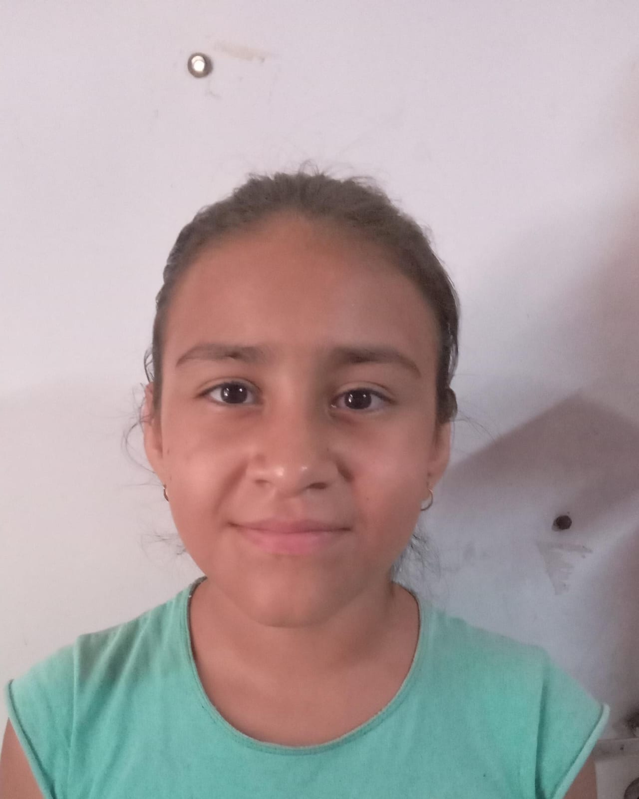 Luz Marianne Vallejos